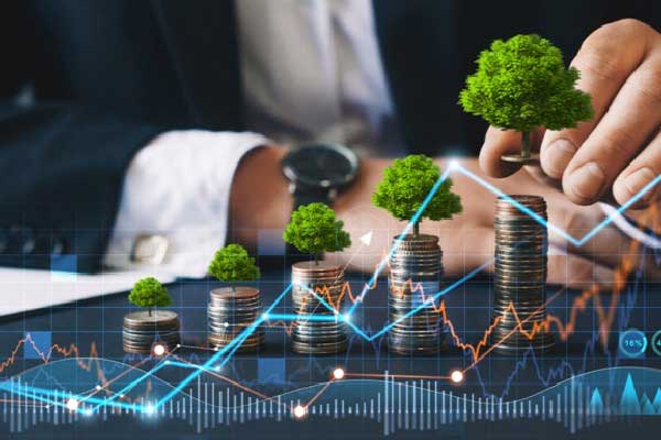 国产芯片“三雄”聚首科创板，摩尔线程上市