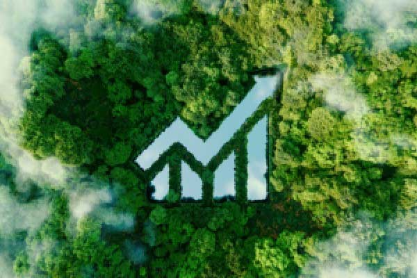 国产芯片“三雄”聚首科创板，摩尔线程上市